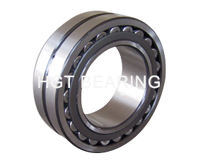 Double row Cylindrical Roller Bearing