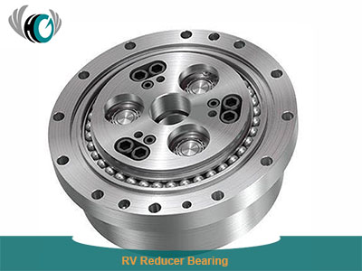 RV Reducer Bearing